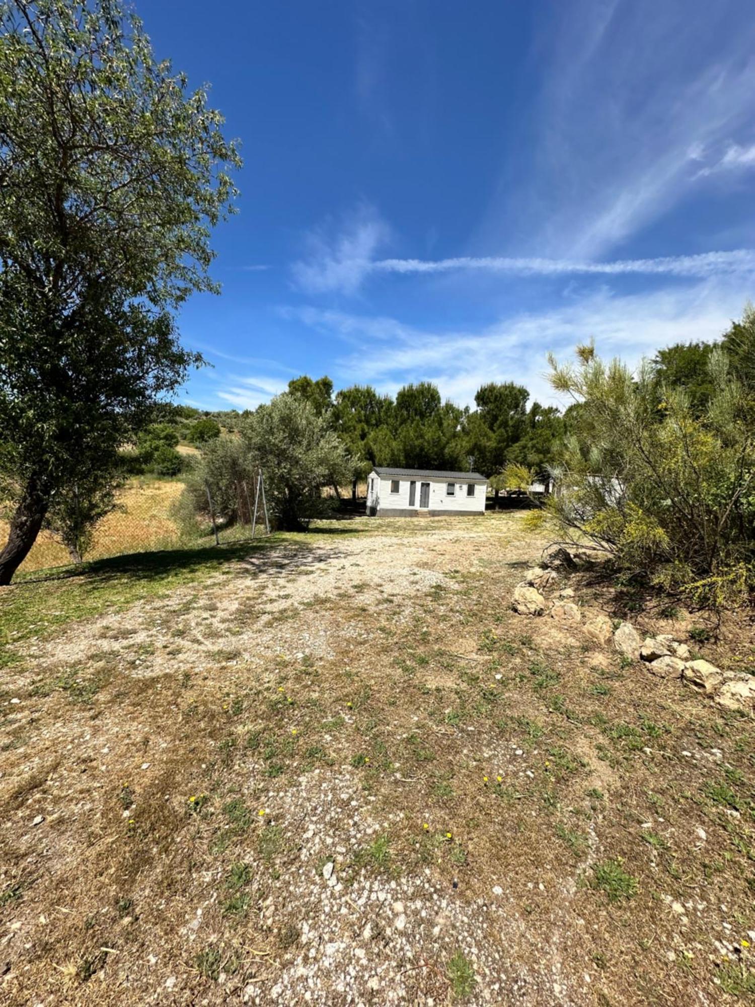 Bungalow Bambolera Торрелагуна Экстерьер фото