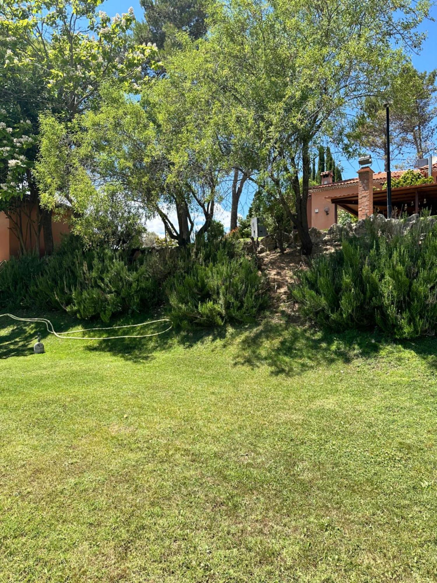 Bungalow Bambolera Торрелагуна Экстерьер фото
